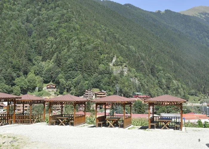 Anemo Suite