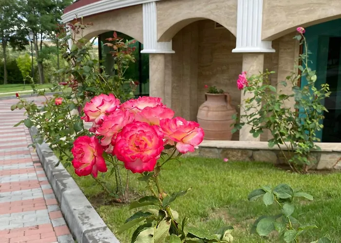 Villa Sintica