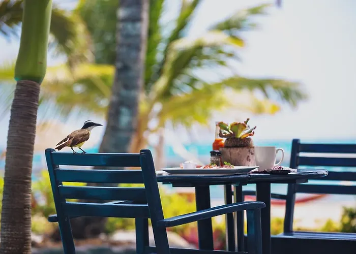 Pelican Reef Villas Resort