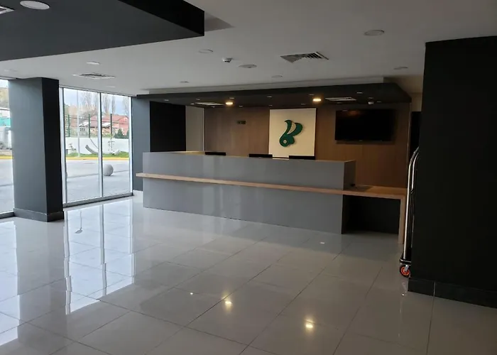 Hotel Diego De Almagro Castro