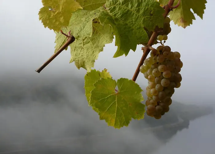 Winzerhof Gietzen
