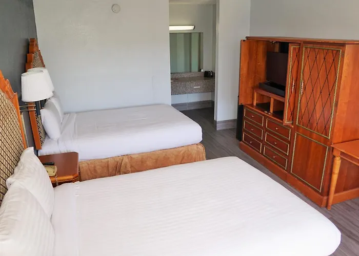 Hotel Elev8