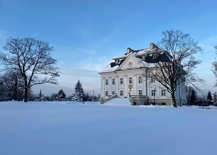 Hotel Palac Borynia