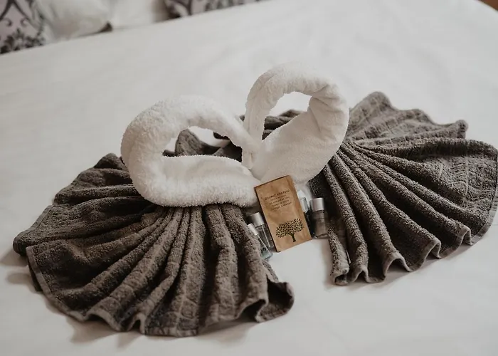 Hotel U Lipy