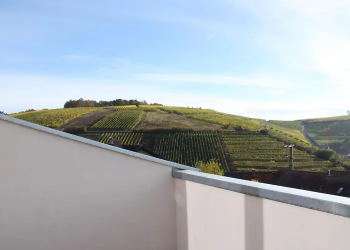 BENZ Weingut&Weinhotel