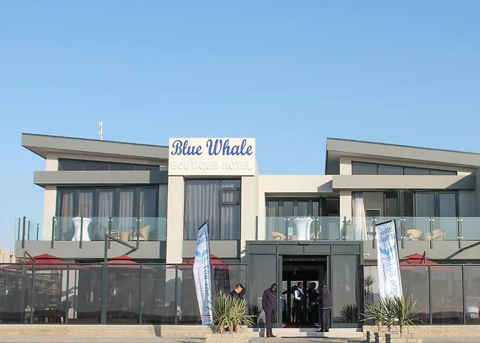 Blue Whale Hotels