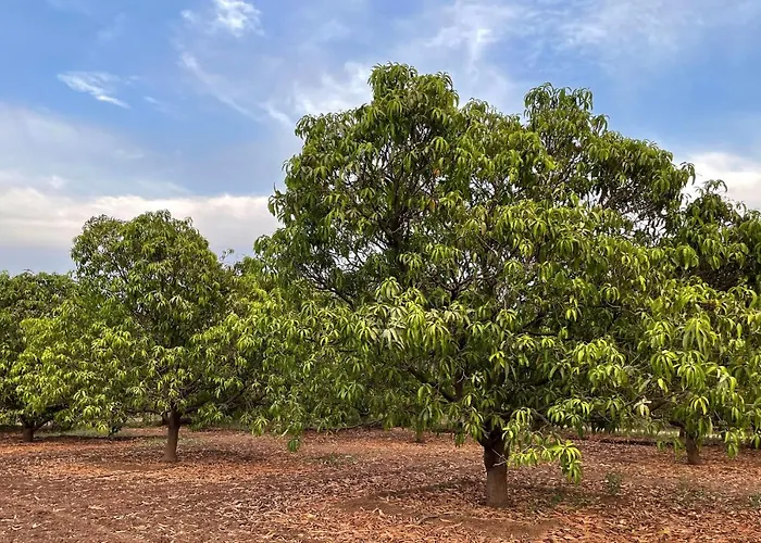 The Postcard Gir Wildlife Sanctuary
