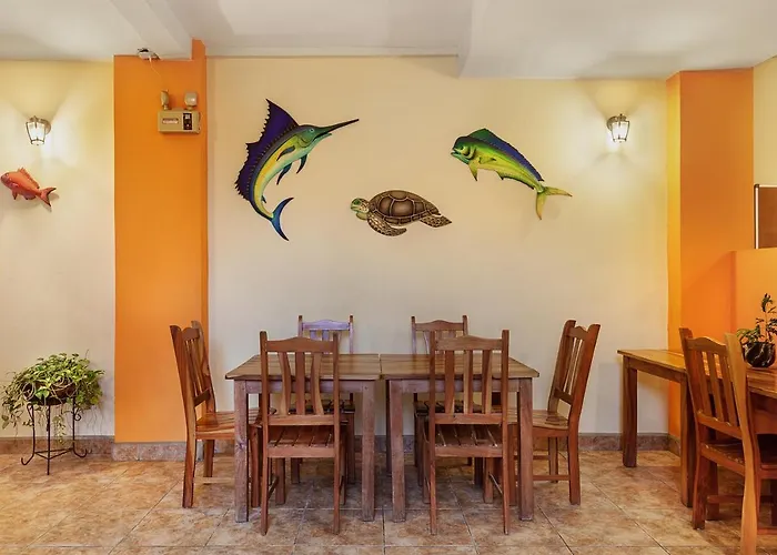 Hostel Tropical&CoWorking