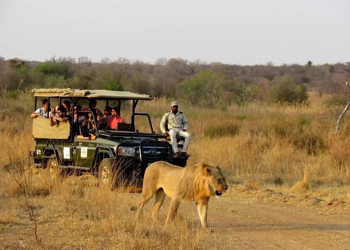 Mongena Private Game Lodge