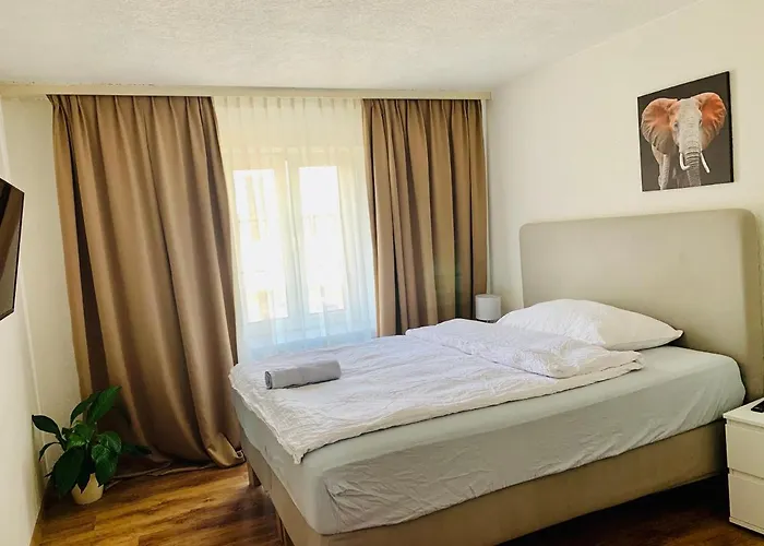 Swiss Hotel Krummen Eich Pratteln Free Parking