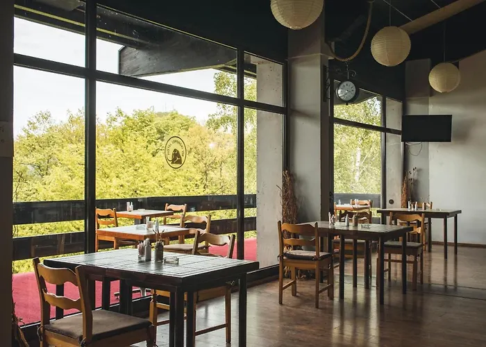 Hotel Lepenski Vir