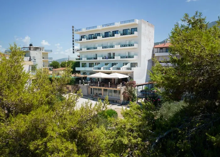 Elegant Beach Hotel