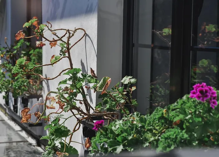 Atelier Boutique Hotel