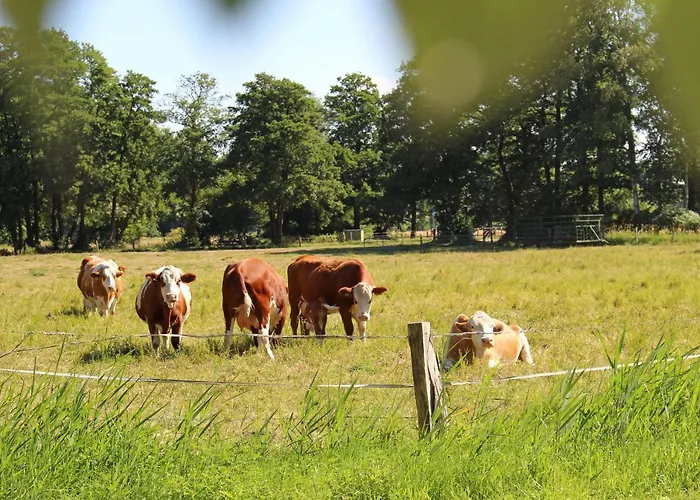 Zur Querensteder Mühle