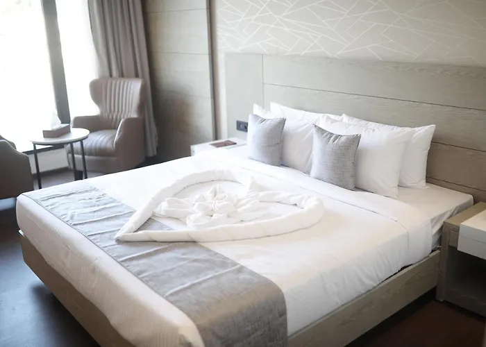 Mothimahal Residency Thrissur