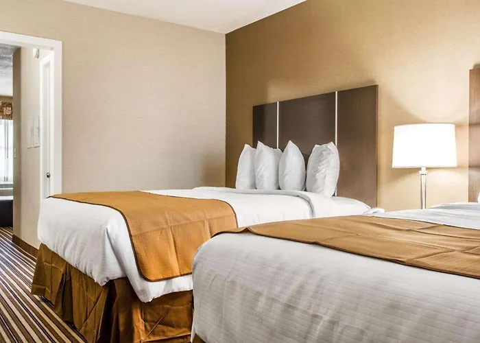 Quality Inn & Suites South Portland