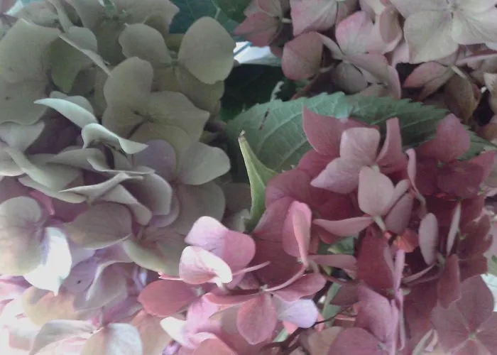 Balneum Boutique Hotel & B&B