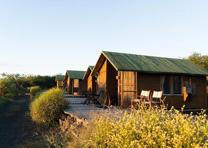 Lava Lodge