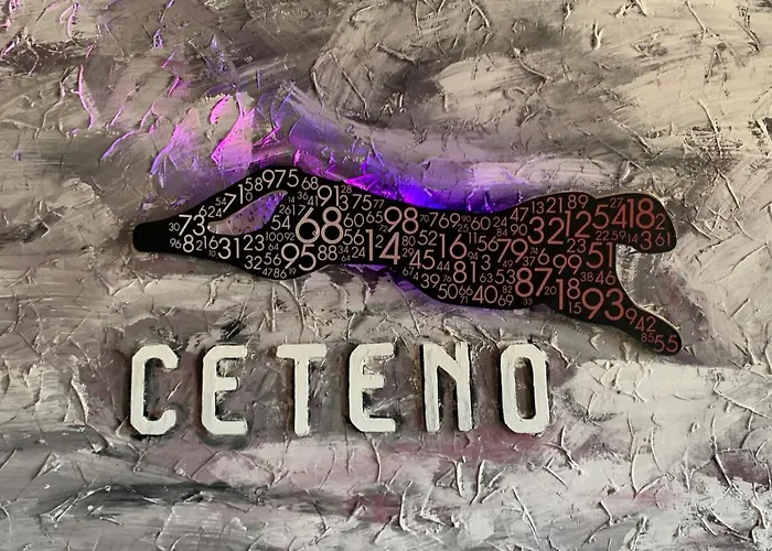 Hotel Ceteno