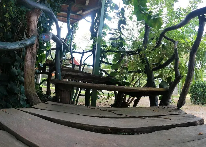 Tree House Samanea Lodge