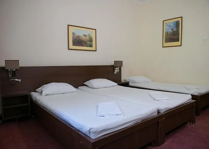 Hotel Panoramic