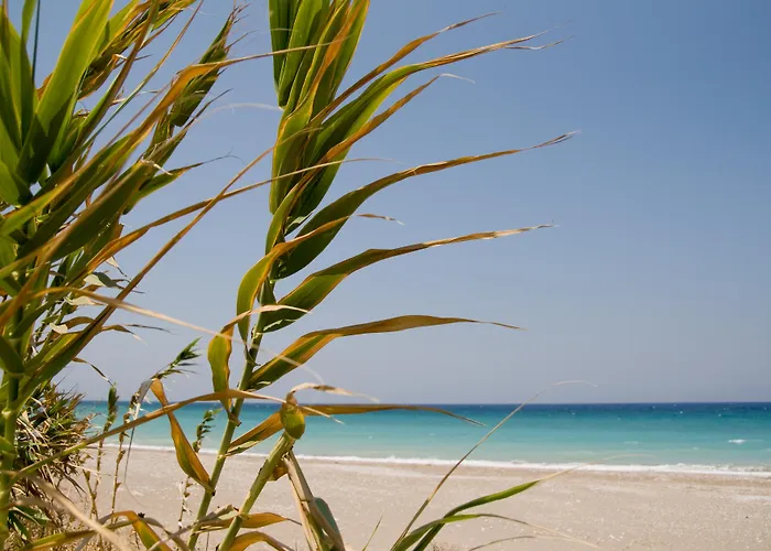 Hotel Asteria