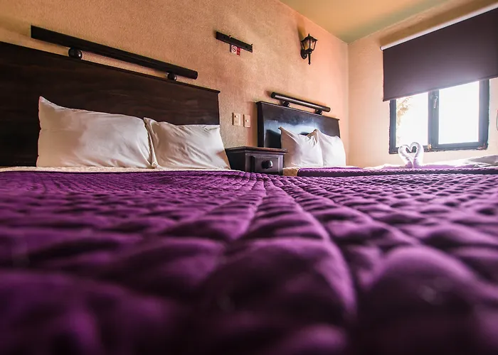 Hotel 1988 Guanajuato