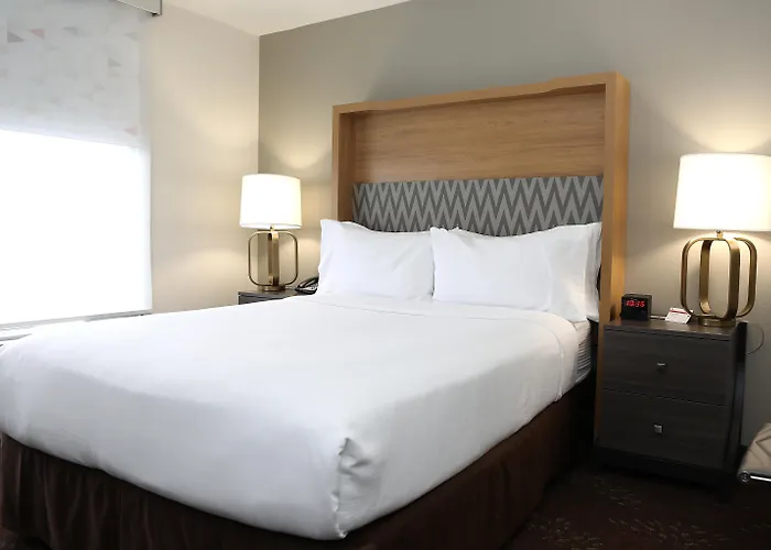 Holiday Inn O'Hare Area By Ihg
