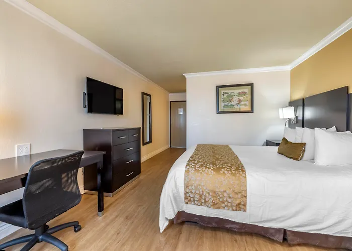 Best Western Plus South Bay Hotel