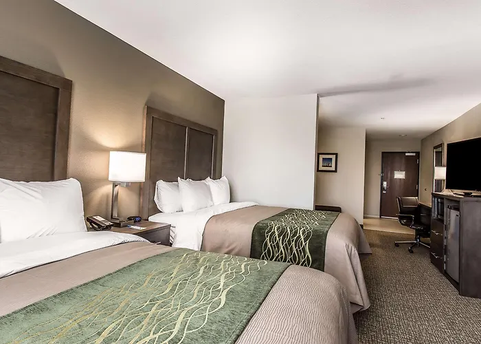 Comfort Inn & Suites Snyder