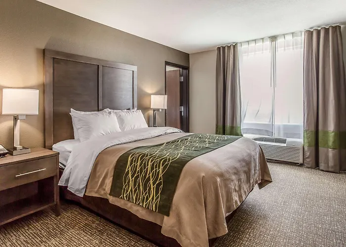 Comfort Inn & Suites Snyder