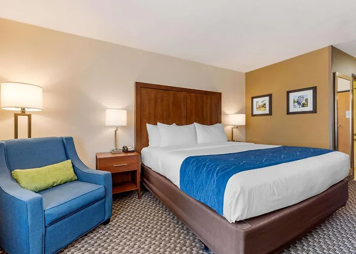 Comfort Inn & Suites Near Route 66