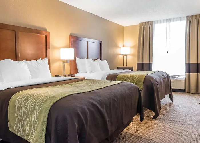 Comfort Inn & Suites Piqua-Near Troy-I75