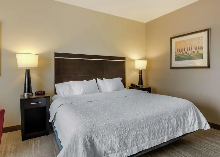 Hampton Inn Alamosa