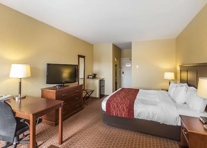 Comfort Hotel Airport