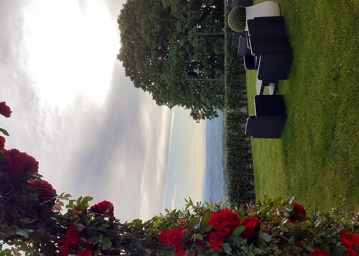 Hotel Le Macine