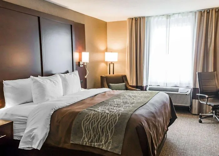 Comfort Inn & Suites Pharr - Mcallen