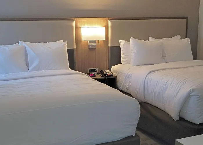 Comfort Inn & Suites Wyomissing-Reading