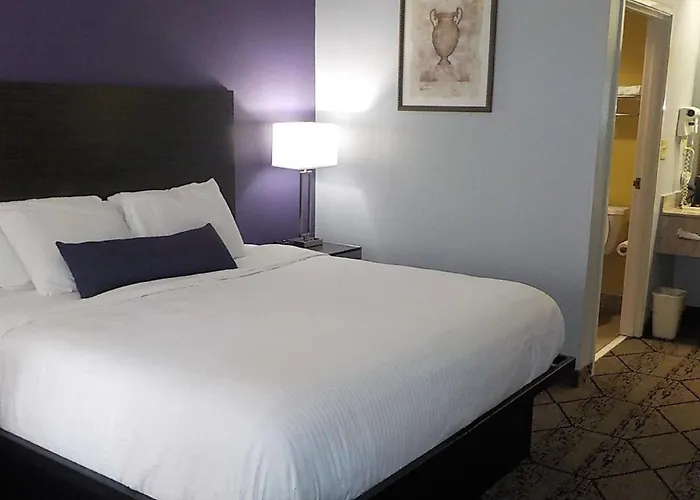 Surestay Plus Hotel By Best Western Warner Robins Afb
