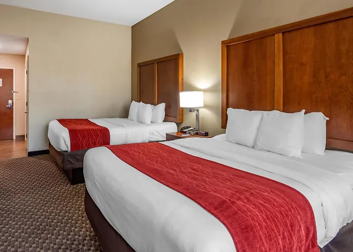 Comfort Inn & Suites Atoka-Millington