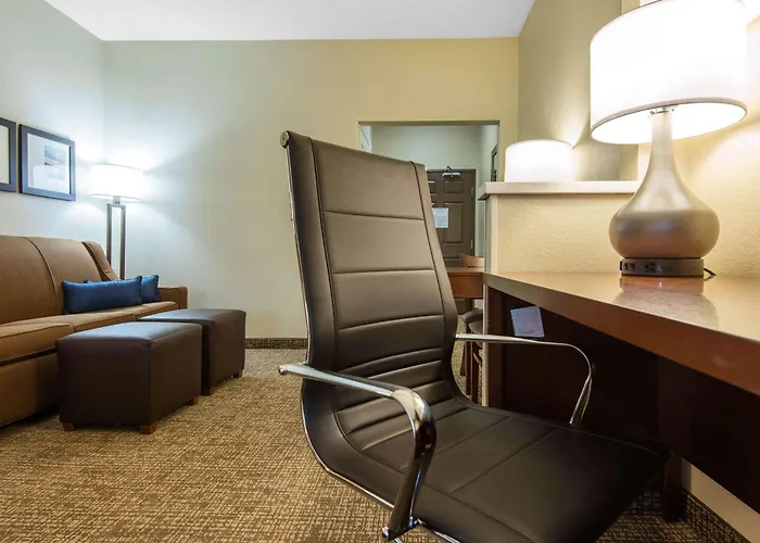 Comfort Suites Rochester Henrietta University Area
