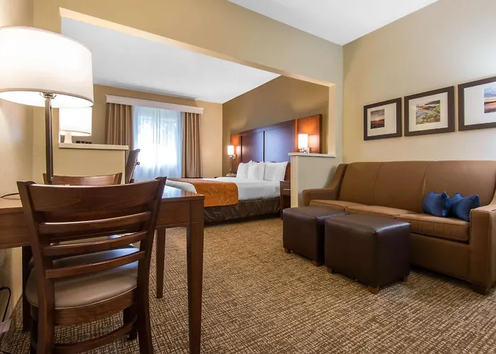 Comfort Suites Rochester Henrietta University Area