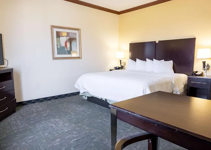 Hampton Inn Alice