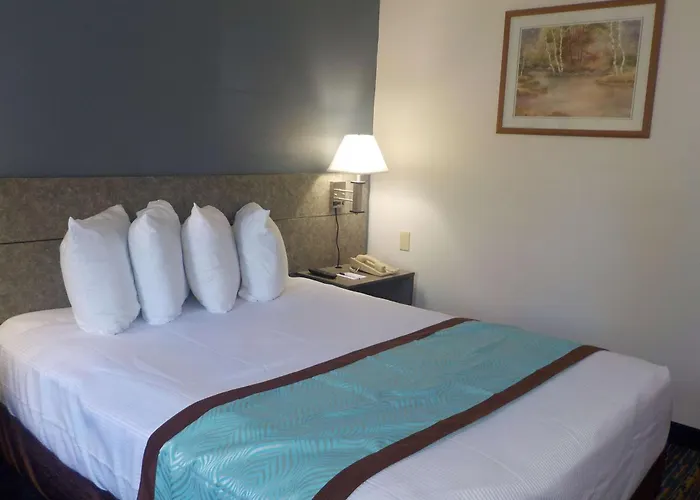Mj Inn And Suites