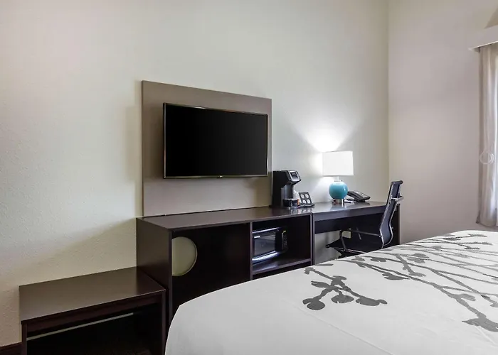Sleep Inn & Suites Tampa South