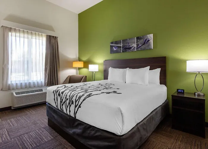 Sleep Inn & Suites Tampa South