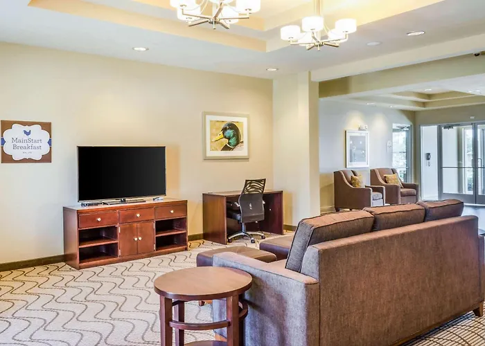 Mainstay Suites Hackberry Sportsman'S Lodge