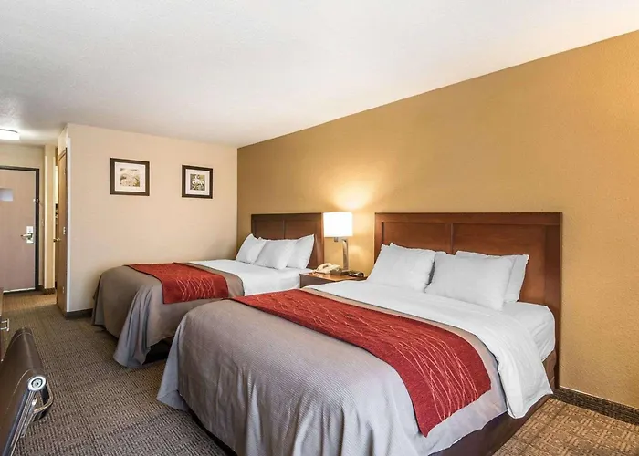 Quality Inn & Suites Bethany