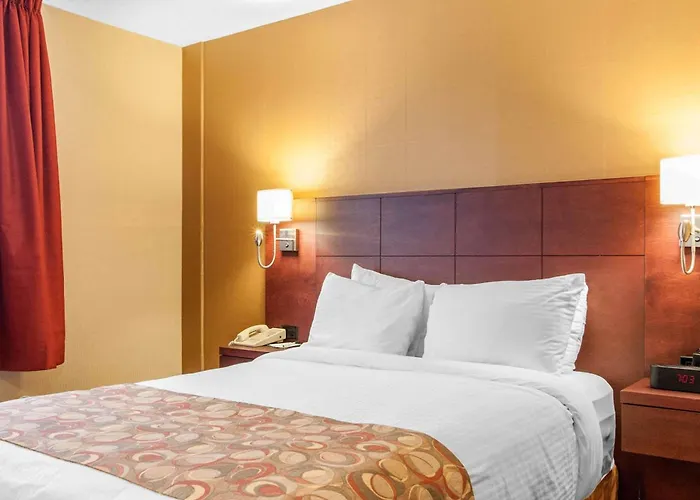 Quality Hotel & Suites