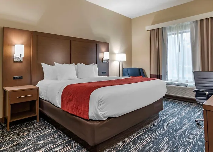 Comfort Inn & Suites Downtown Near University
